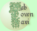 Web Town Navi